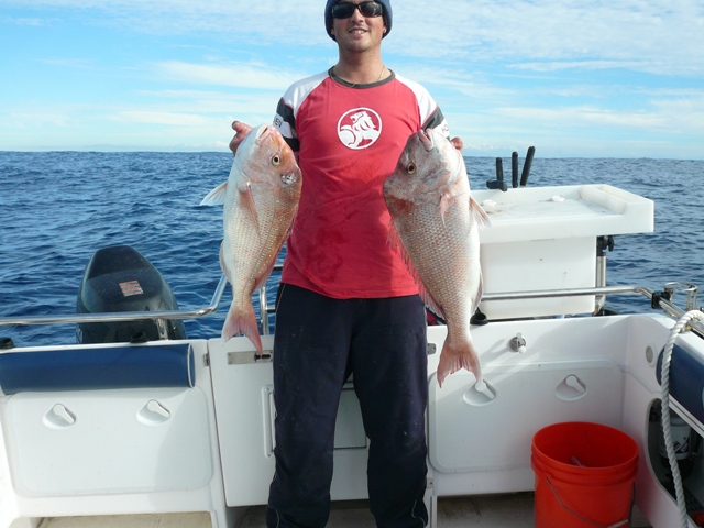 sundays fish sundays fish